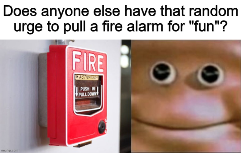 My brain tells me to do it sometimes... I don't listen tho :] | Does anyone else have that random urge to pull a fire alarm for "fun"? | image tagged in blank stare dragon | made w/ Imgflip meme maker