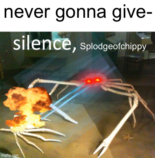 Silence Crab | never gonna give- Splodgeofchippy | image tagged in silence crab | made w/ Imgflip meme maker