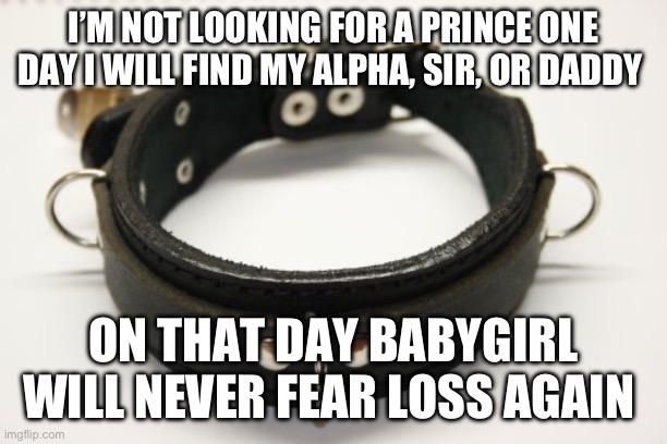 bdsm collar | I’M NOT LOOKING FOR A PRINCE ONE DAY I WILL FIND MY ALPHA, SIR, OR DADDY; ON THAT DAY BABYGIRL WILL NEVER FEAR LOSS AGAIN | image tagged in bdsm collar | made w/ Imgflip meme maker