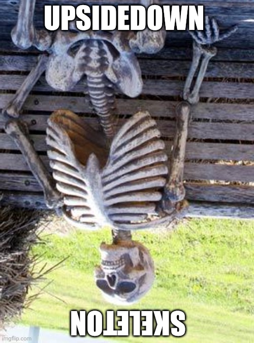 Just an upsidedown skeleton | UPSIDEDOWN; SKELETON | image tagged in memes,waiting skeleton | made w/ Imgflip meme maker