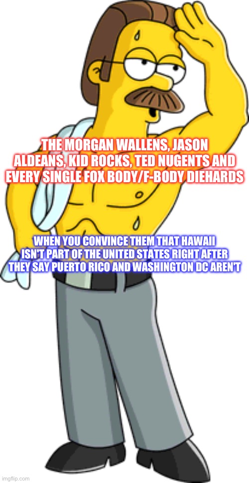 The South | THE MORGAN WALLENS, JASON ALDEANS, KID ROCKS, TED NUGENTS AND EVERY SINGLE FOX BODY/F-BODY DIEHARDS; WHEN YOU CONVINCE THEM THAT HAWAII ISN'T PART OF THE UNITED STATES RIGHT AFTER THEY SAY PUERTO RICO AND WASHINGTON DC AREN'T | image tagged in puerto rico,dc,washington dc,hawaii | made w/ Imgflip meme maker