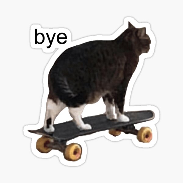 Cat on skateboard Blank Meme Template