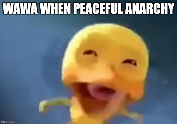 crying duck | WAWA WHEN PEACEFUL ANARCHY | image tagged in crying duck | made w/ Imgflip meme maker