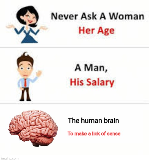 No sense | The human brain; To make a lick of sense | image tagged in never ask a woman her age | made w/ Imgflip meme maker