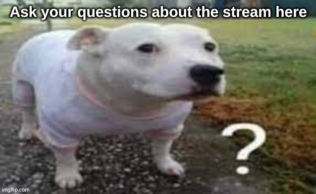 Dog question mark | Ask your questions about the stream here | image tagged in dog question mark | made w/ Imgflip meme maker