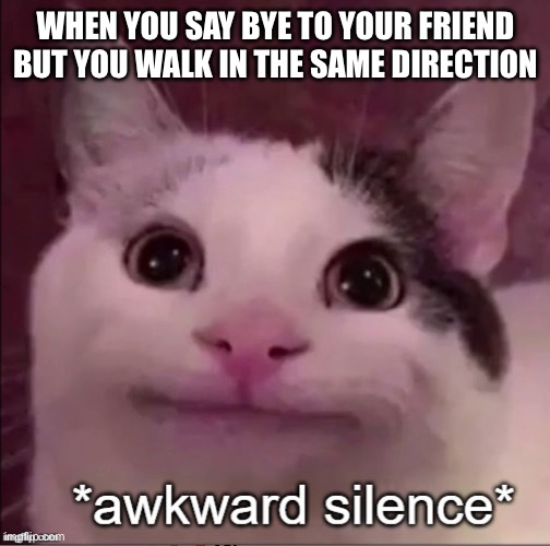 It is so awkward. | WHEN YOU SAY BYE TO YOUR FRIEND BUT YOU WALK IN THE SAME DIRECTION | image tagged in awkward silence cat,relatable,memes,beluga | made w/ Imgflip meme maker