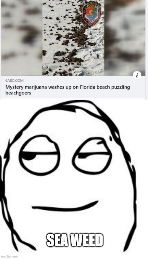 Sea Weed | SEA WEED | image tagged in memes,smirk rage face | made w/ Imgflip meme maker
