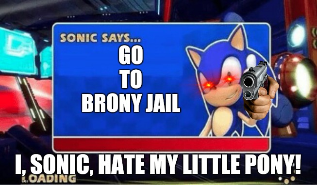 Sonic Says | GO TO BRONY JAIL I, SONIC, HATE MY LITTLE PONY! | image tagged in sonic says | made w/ Imgflip meme maker