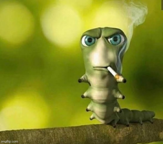 Caterpillar smoking | image tagged in caterpillar smoking | made w/ Imgflip meme maker