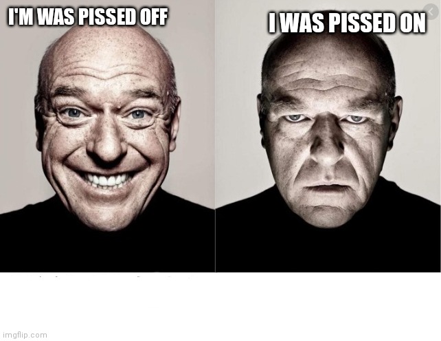 Hank meme | I'M WAS PISSED OFF; I WAS PISSED ON | image tagged in hank schrader | made w/ Imgflip meme maker