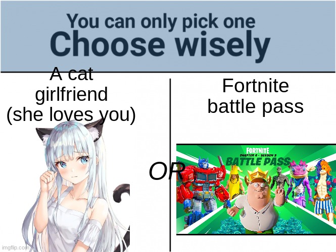 you can pick only one choose wisely | A cat girlfriend (she loves you); Fortnite battle pass; OR | image tagged in you can pick only one choose wisely | made w/ Imgflip meme maker