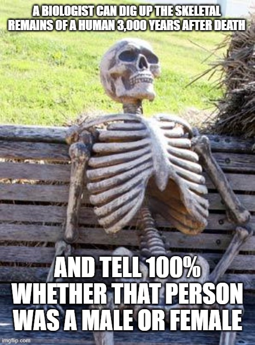 Gender is s3x and s3x is gender. They are not different. Don't believe the lie. | A BIOLOGIST CAN DIG UP THE SKELETAL REMAINS OF A HUMAN 3,000 YEARS AFTER DEATH; AND TELL 100% WHETHER THAT PERSON WAS A MALE OR FEMALE | image tagged in memes,waiting skeleton | made w/ Imgflip meme maker