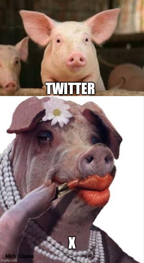 Same | TWITTER; X | image tagged in pig,lipstick on a pig | made w/ Imgflip meme maker