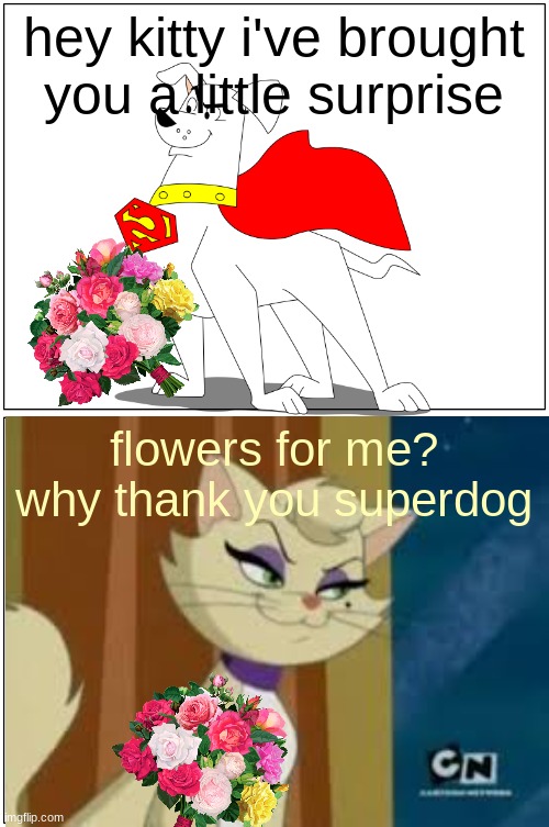 flowers for delilah | hey kitty i've brought you a little surprise; flowers for me? why thank you superdog | image tagged in memes,blank comic panel 1x2,cats,dogs,shipping,flowers | made w/ Imgflip meme maker