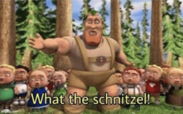 What the schnitzel | image tagged in what the schnitzel | made w/ Imgflip meme maker