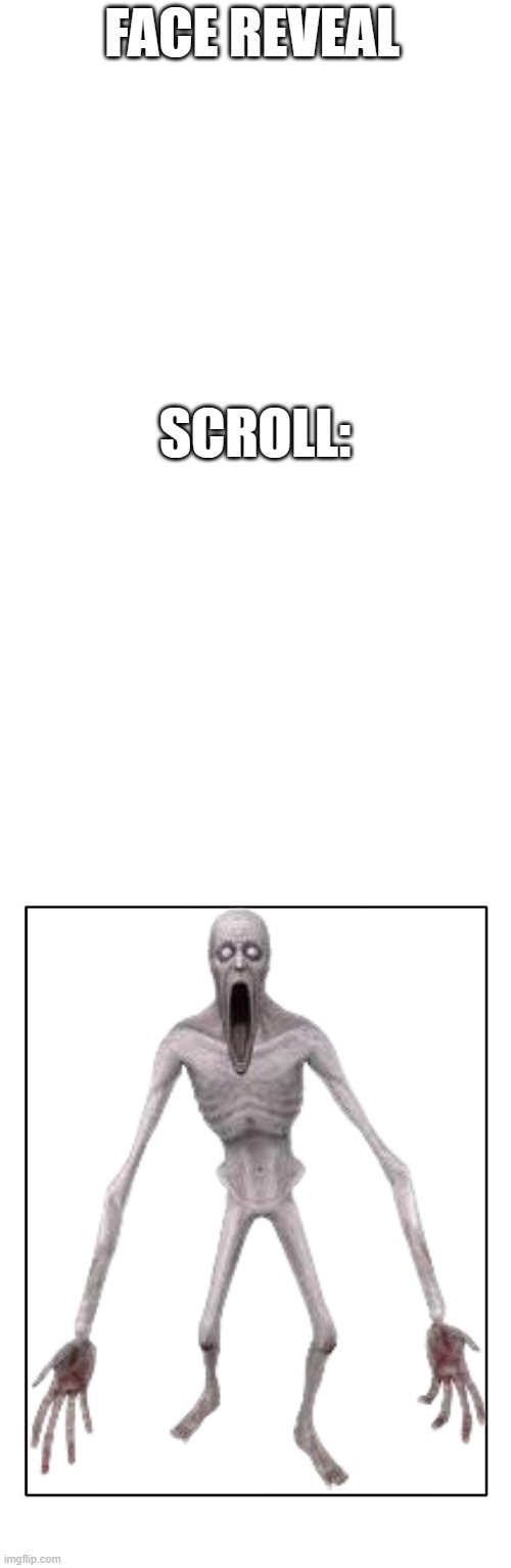 definitely non-clickbait! | FACE REVEAL; SCROLL: | image tagged in blank white template,blank template | made w/ Imgflip meme maker