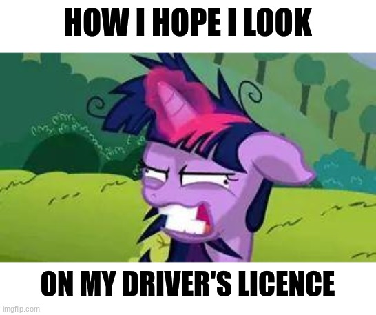 This guy's license is insane | HOW I HOPE I LOOK; ON MY DRIVER'S LICENCE | image tagged in mlp | made w/ Imgflip meme maker