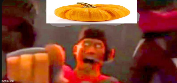 Tf2 scout pointing | image tagged in tf2 scout pointing | made w/ Imgflip meme maker