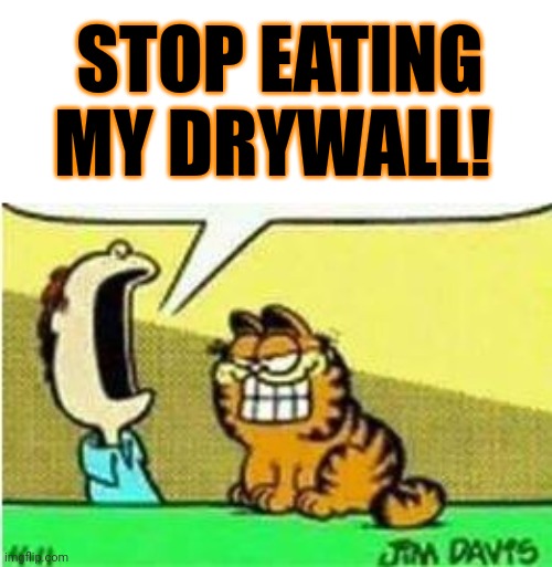 Garfield lore | STOP EATING MY DRYWALL! | image tagged in john yelling at garfield,garfield,lore | made w/ Imgflip meme maker