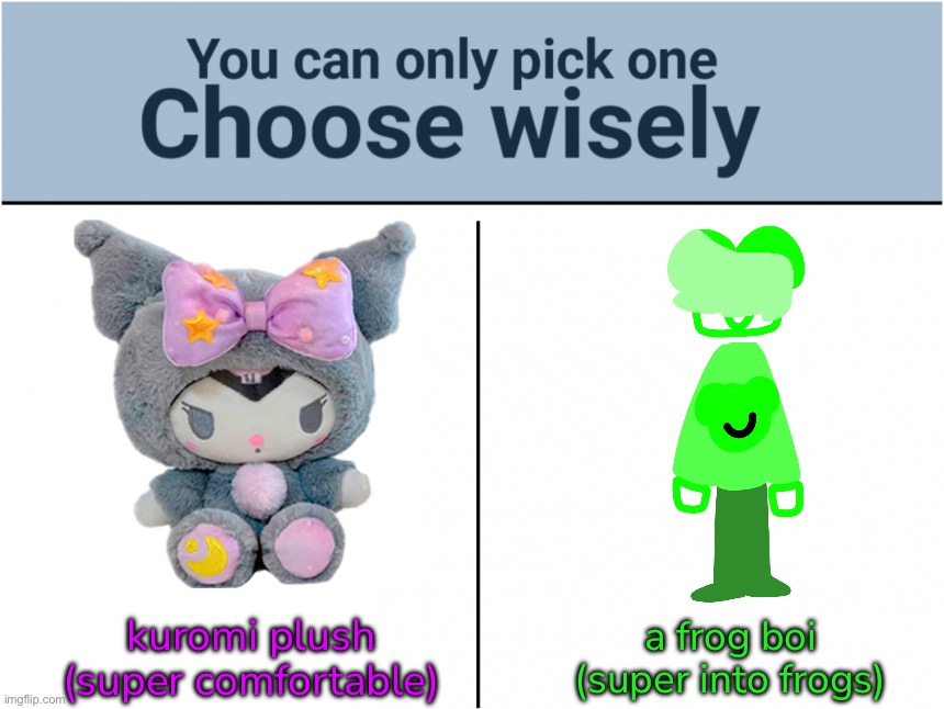 which one | a frog boi
(super into frogs); kuromi plush
(super comfortable) | made w/ Imgflip meme maker