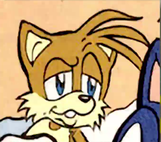 High Quality tails rizz Blank Meme Template
