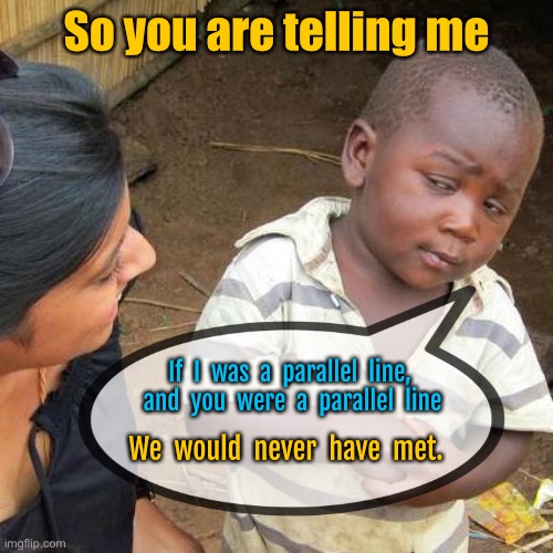 Parallel lines | So you are telling me; If  I  was  a  parallel  line,  and  you  were  a  parallel  line; We  would  never  have  met. | image tagged in memes,third world skeptical kid,you and me,were parallel lines,we would never met,fun | made w/ Imgflip meme maker
