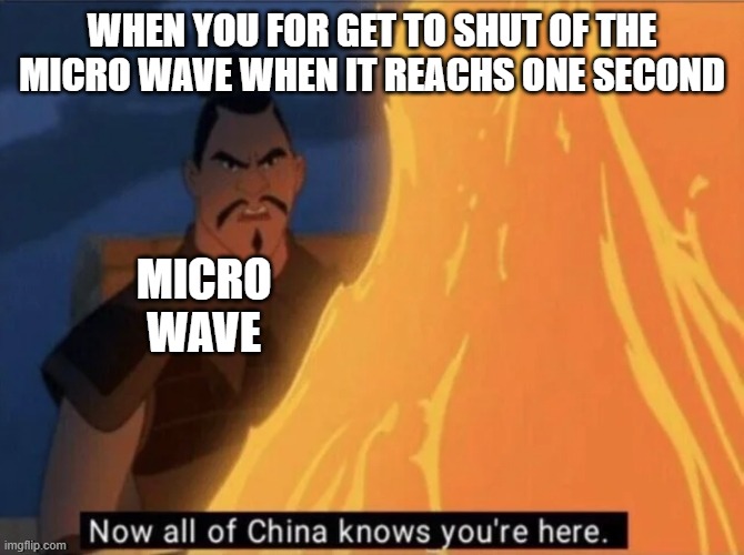 WHEN YOU FOR GET TO SHUT OF THE MICRO WAVE WHEN IT REACHS ONE SECOND; MICRO WAVE | image tagged in now all of china knows you're here | made w/ Imgflip meme maker