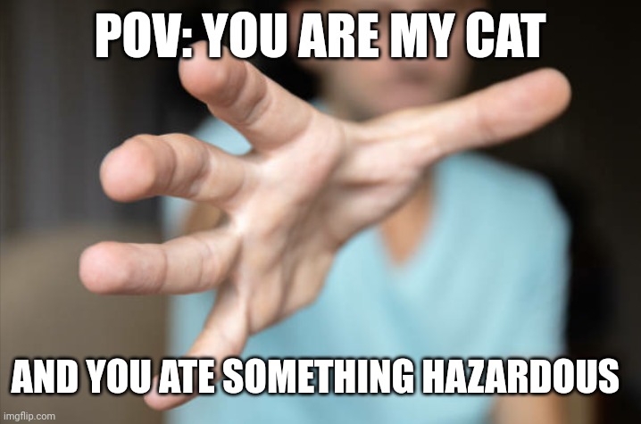 C'mere, you- | POV: YOU ARE MY CAT; AND YOU ATE SOMETHING HAZARDOUS | image tagged in relatable memes,cats,cursed emoji hand grabbing | made w/ Imgflip meme maker