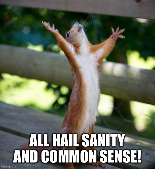 All Hail | ALL HAIL SANITY AND COMMON SENSE! | image tagged in all hail | made w/ Imgflip meme maker