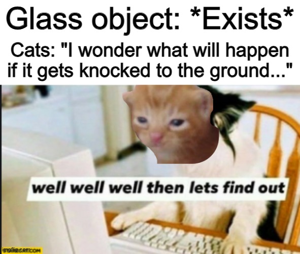 NO, DON'T ;-; | Glass object: *Exists*; Cats: "I wonder what will happen if it gets knocked to the ground..." | image tagged in well well well then lets find out | made w/ Imgflip meme maker