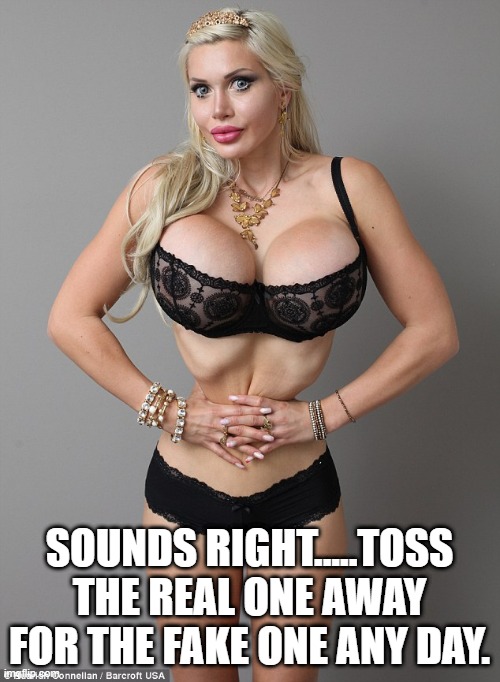 fake tits | SOUNDS RIGHT.....TOSS THE REAL ONE AWAY FOR THE FAKE ONE ANY DAY. | image tagged in fake tits | made w/ Imgflip meme maker