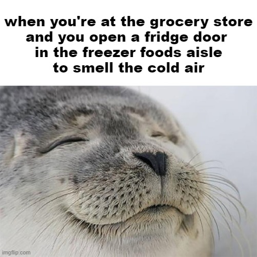 TELL ME YOU DO THIS TOO | when you're at the grocery store
and you open a fridge door 
in the freezer foods aisle
to smell the cold air | image tagged in memes,satisfied seal,funny memes,satisfying,cold | made w/ Imgflip meme maker