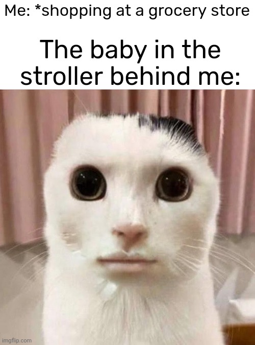 My honest reaction | Me: *shopping at a grocery store; The baby in the stroller behind me: | image tagged in my honest reaction | made w/ Imgflip meme maker