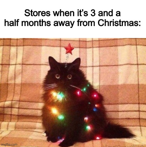 Gotta get ready early ;) | Stores when it’s 3 and a half months away from Christmas: | image tagged in you became the very thing you swore to destroy | made w/ Imgflip meme maker