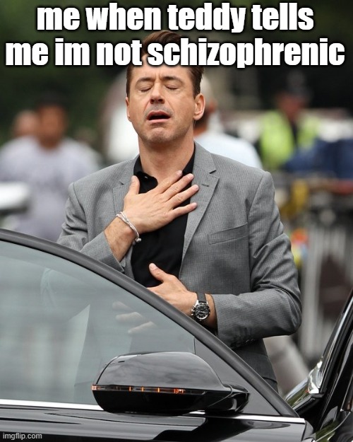 chicken tenders | me when teddy tells me im not schizophrenic | image tagged in relief,cats,schizophrenia,robert downey jr | made w/ Imgflip meme maker