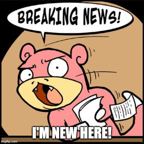 Slowpoke Breaking News | I'M NEW HERE! | image tagged in slowpoke breaking news | made w/ Imgflip meme maker