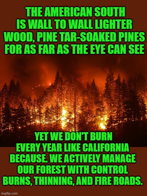 just the facts jack | THE AMERICAN SOUTH IS WALL TO WALL LIGHTER WOOD, PINE TAR-SOAKED PINES FOR AS FAR AS THE EYE CAN SEE; YET WE DON'T BURN EVERY YEAR LIKE CALIFORNIA BECAUSE. WE ACTIVELY MANAGE OUR FOREST WITH CONTROL BURNS, THINNING, AND FIRE ROADS. | image tagged in democrats | made w/ Imgflip meme maker