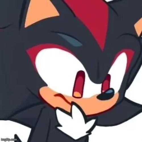 hes so silly i wanna drop a nuke on him,,, he gives me cute aggression frfr | image tagged in cookie run shadow edit i think | made w/ Imgflip meme maker