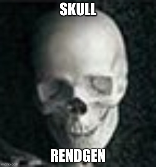 heh | SKULL; RENDGEN | image tagged in skull,memes,funny,sammy,temp steal | made w/ Imgflip meme maker