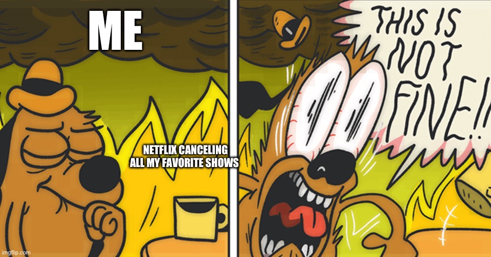 This is not fine | ME; NETFLIX CANCELING ALL MY FAVORITE SHOWS | image tagged in this is not fine | made w/ Imgflip meme maker