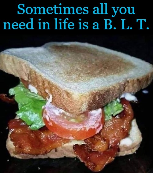 sometimes all you need in life is a B.L.T. | Sometimes all you need in life is a B. L. T. | image tagged in kewlew,b l t | made w/ Imgflip meme maker