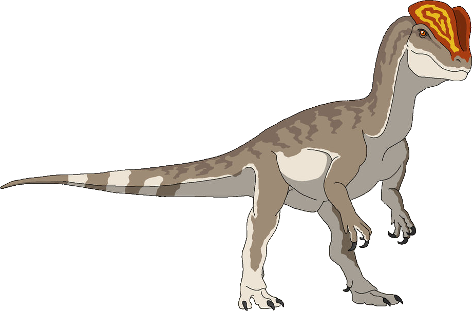 Dilophosaurus (Male) Blank Template - Imgflip