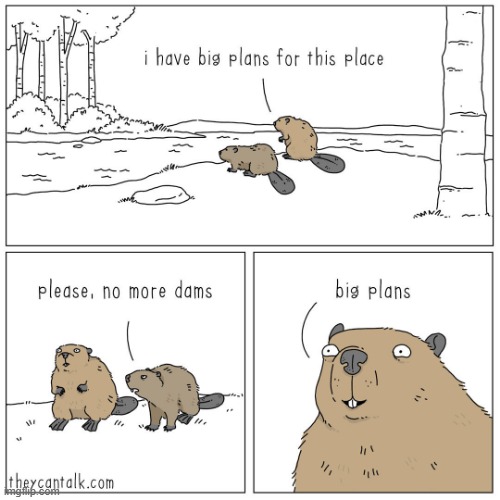 DAMS, beavers, DAMS - Imgflip