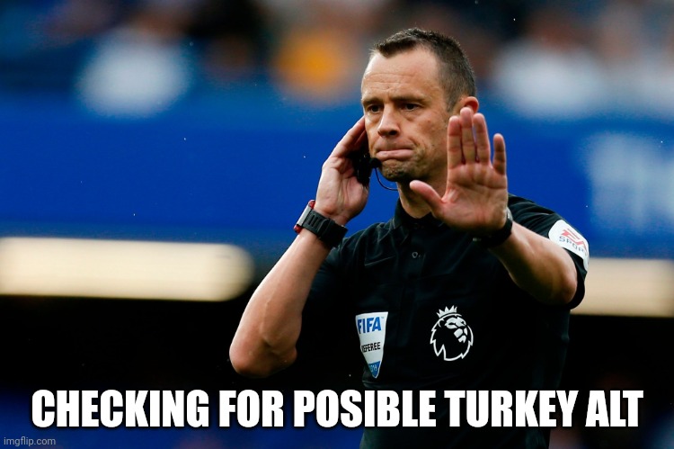 Used in comment | CHECKING FOR POSIBLE TURKEY ALT | image tagged in var check | made w/ Imgflip meme maker