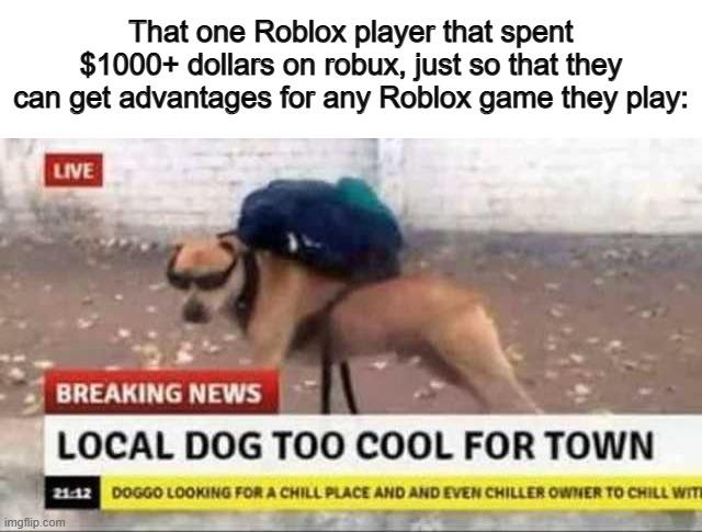 "Now I'm so cool :]" | That one Roblox player that spent $1000+ dollars on robux, just so that they can get advantages for any Roblox game they play: | image tagged in local dog too cool | made w/ Imgflip meme maker