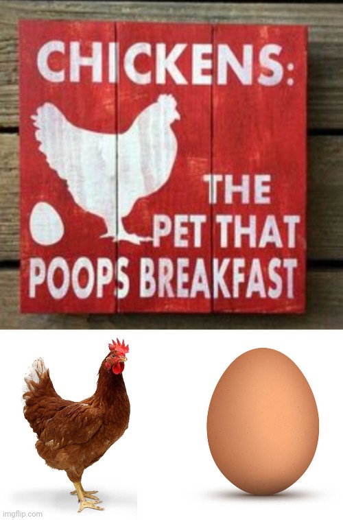 Egg breakfast | image tagged in chicken and egg,reposts,repost,chicken,chickens,memes | made w/ Imgflip meme maker