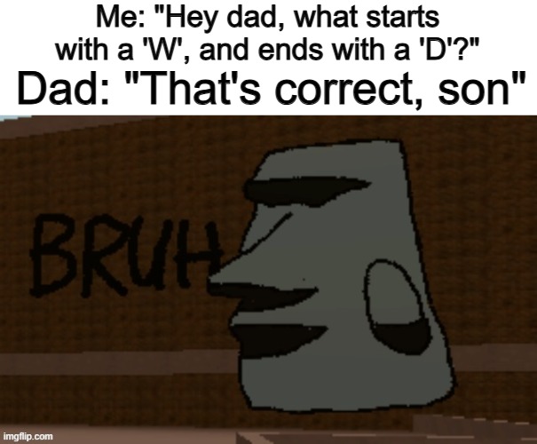 Very helpful ._. | Me: "Hey dad, what starts with a 'W', and ends with a 'D'?"; Dad: "That's correct, son" | image tagged in bruh | made w/ Imgflip meme maker