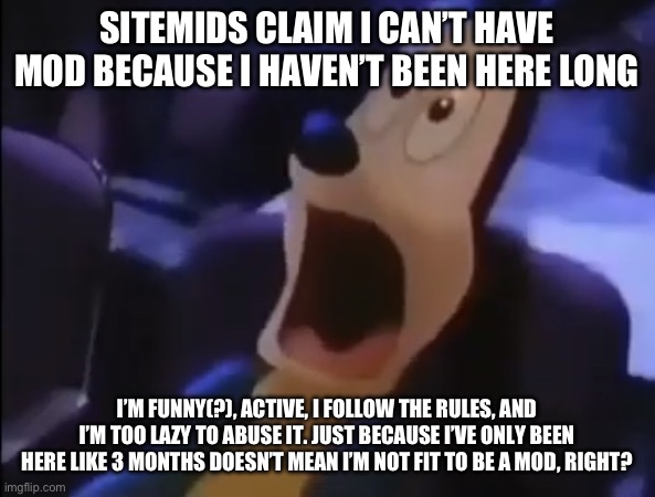 sitmids are gatekeeping frfr | SITEMIDS CLAIM I CAN’T HAVE MOD BECAUSE I HAVEN’T BEEN HERE LONG; I’M FUNNY(?), ACTIVE, I FOLLOW THE RULES, AND I’M TOO LAZY TO ABUSE IT. JUST BECAUSE I’VE ONLY BEEN HERE LIKE 3 MONTHS DOESN’T MEAN I’M NOT FIT TO BE A MOD, RIGHT? | image tagged in hey uhh do you mind- | made w/ Imgflip meme maker