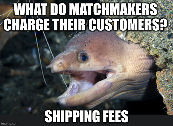 Don't accept dating advice from people who tell dad jokes | WHAT DO MATCHMAKERS CHARGE THEIR CUSTOMERS? SHIPPING FEES | image tagged in happy eel | made w/ Imgflip meme maker