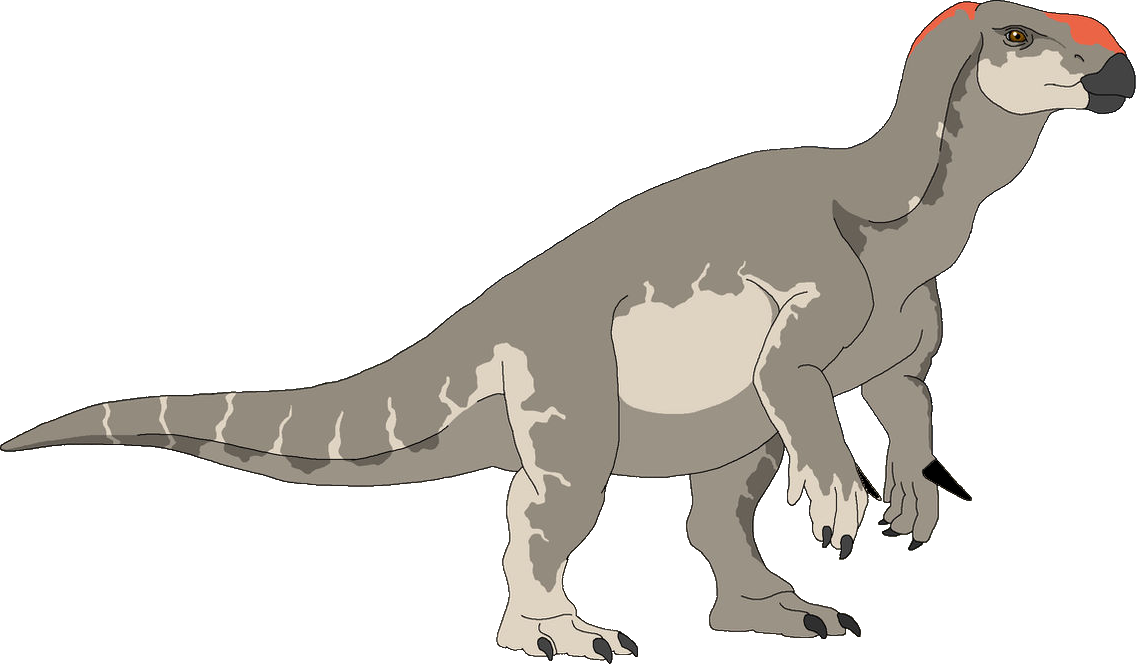 Iguanodon (Male) Blank Meme Template